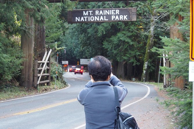 Mt. Rainier Day Tour from Seattle - Narada Falls and Christine Falls