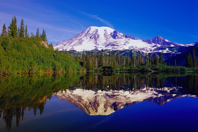 Mt. Rainier Day Tour from Seattle - Henry M. Jackson Visitor Center and the main mountain views