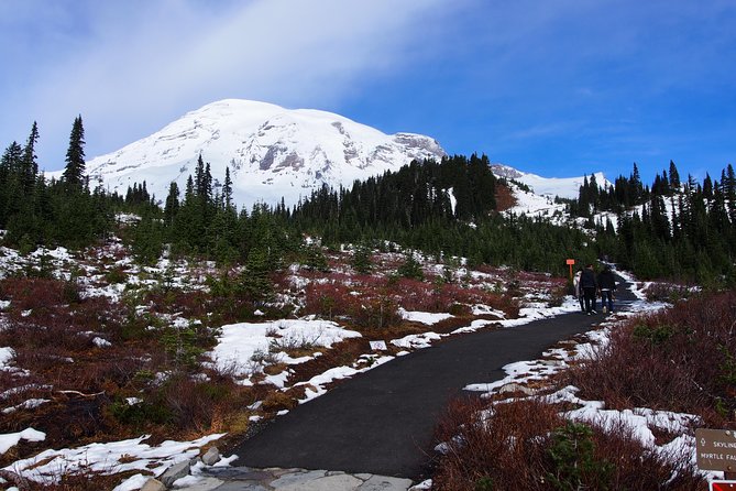 Mt. Rainier Day Tour from Seattle - Reflection Lakes, Tipsoo Lake, and seasonal surprises
