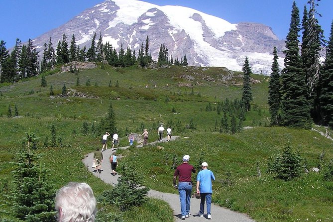 Mt. Rainier Day Tour from Seattle - Twin Firs Loop and the old-growth forest