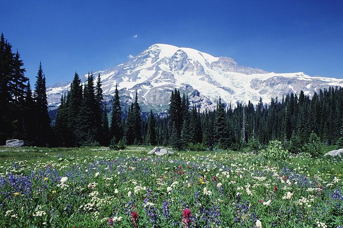Mt. Rainier Day Tour from Seattle - Downtown pickup and the road to the mountain