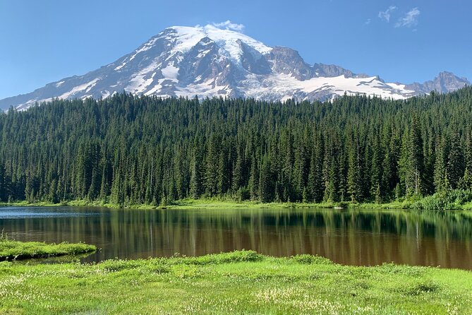 Mt. Rainier highlights - old forest, falls and glaciers - Planning the picnic near the glaciers