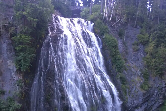 Mt. Rainier highlights - old forest, falls and glaciers - Old-growth forest near Longmire
