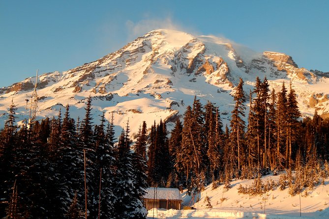 Mt. Rainier National Park Highlights Tour - Key points to know before you book