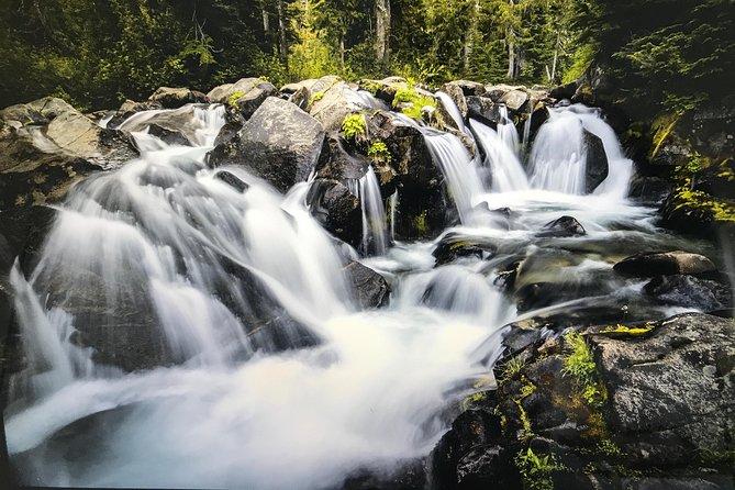 Mt. Rainier National Park Highlights Tour - Christine Falls and Narada Falls
