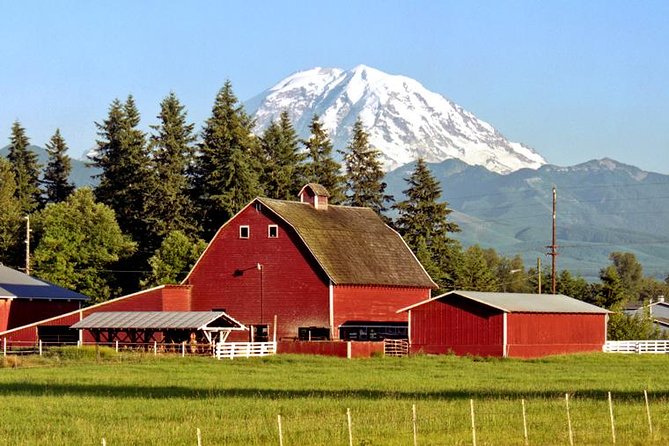 Mt. Rainier National Park Highlights Tour - Forest walks, lakes, and summer-only additions