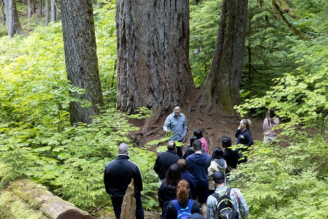 Mt. Rainier National Park Highlights Tour - What the guide adds to the day