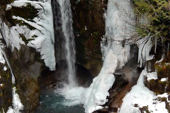 Mt. Rainier National Park Highlights Tour - The early pickup and scenic ride south