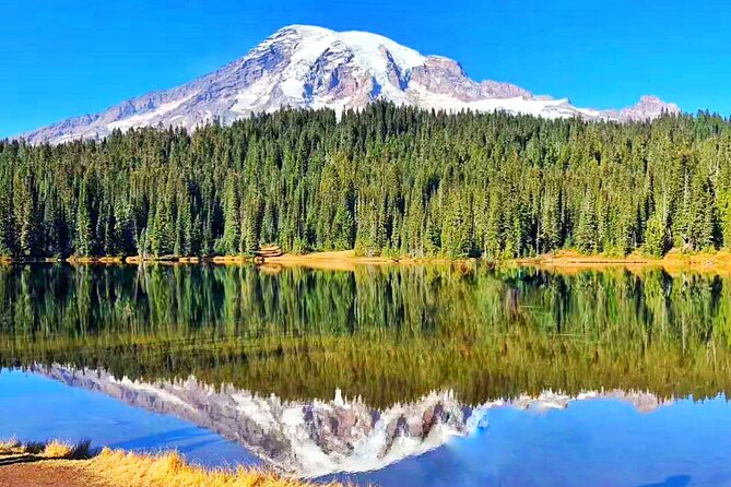Mt Rainier National Park Small Group Day Tour from Seattle 2CanGo - Winter changes the mood and the route