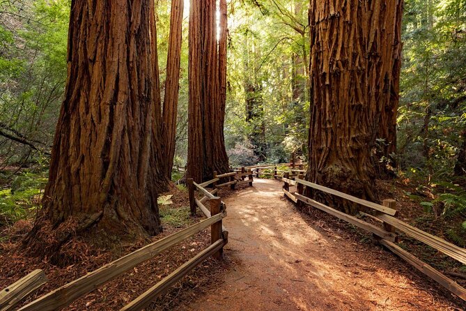 Muir Woods and Sausalito Morning Tour Small-Group Half Day - Key points to know before booking