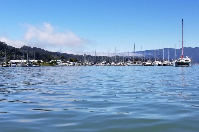 Muir Woods and Sausalito Morning Tour Small-Group Half Day - What the $84 price really covers