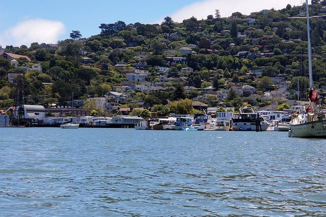 Muir Woods and Sausalito Morning Tour Small-Group Half Day - Which guide experience should you expect?