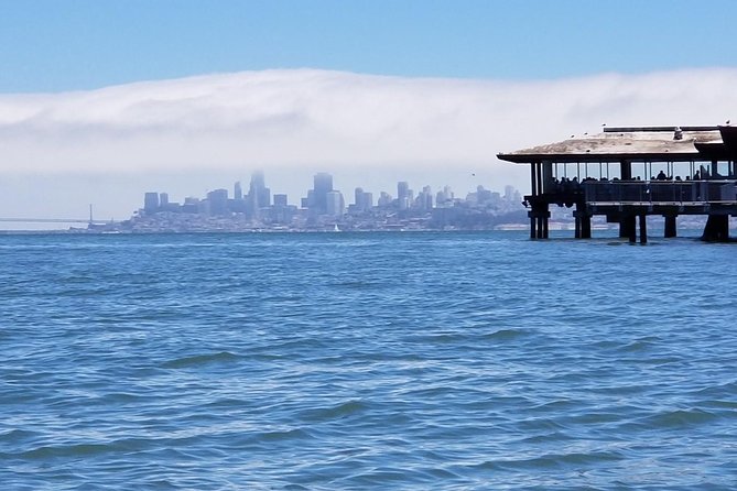Muir Woods and Sausalito Morning Tour Small-Group Half Day - Who will enjoy this tour most?