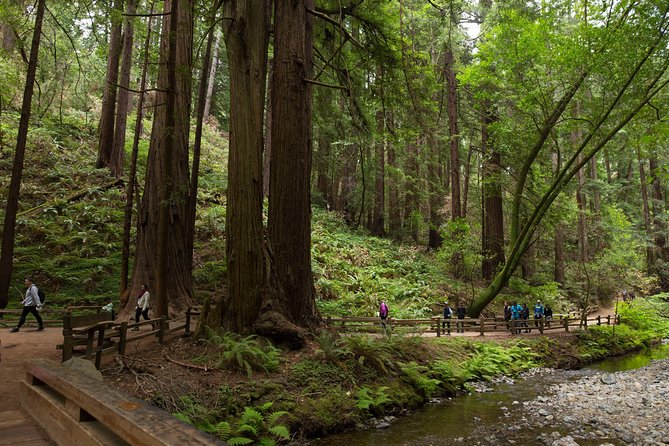 Muir Woods and Sausalito (Return by Bus or Ferry) - Why Muir Woods is the heart of this outing