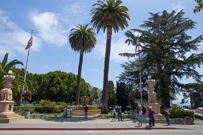 Muir Woods and Sausalito (Return by Bus or Ferry) - The Golden Gate North Vista Point photo stop