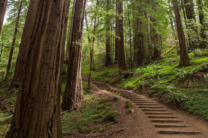 Muir Woods and Sausalito (Return by Bus or Ferry) - How the bike upgrade changes the route