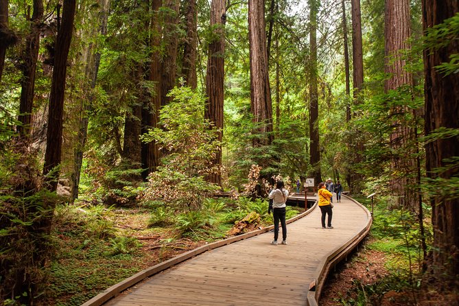 Muir Woods and Sausalito Tour Plus Bay Cruise - The one-hour Bay Cruise from Pier 39
