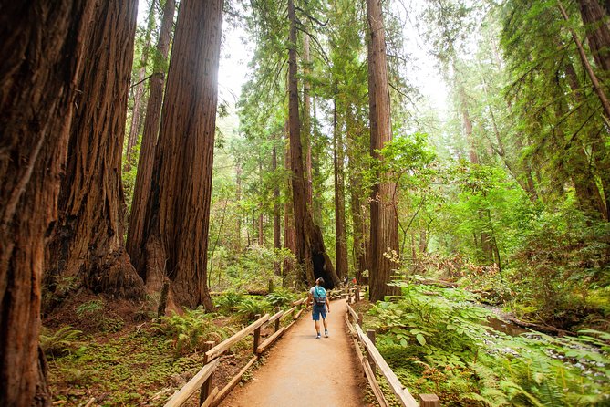 Muir Woods and Sausalito Tour Plus Bay Cruise - Guides, coaches, and comfort