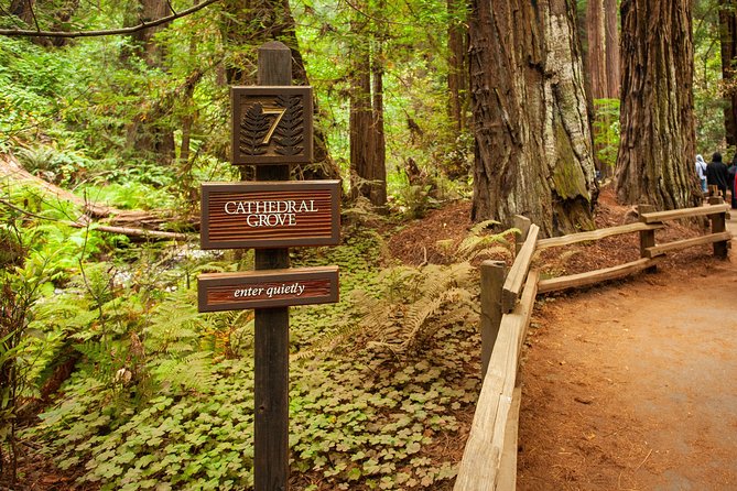 Muir Woods and Sausalito Tour Plus Bay Cruise - Price, timing, and who gets the best value