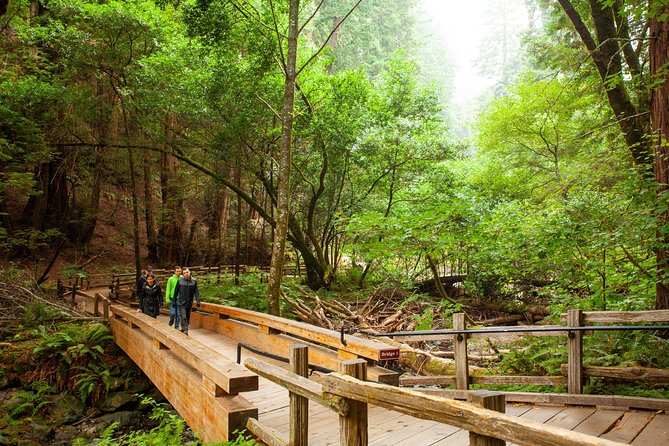 Muir Woods and Sausalito Tour Plus Bay Cruise - Ninety minutes beneath the redwoods at Muir Woods