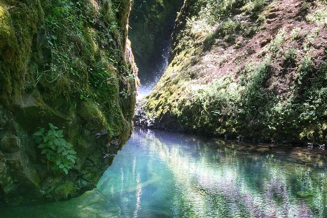 Multnomah Falls and Columbia River Gorge Half-Day Hiking Tour - Bridal Veil brings a quieter forest walk