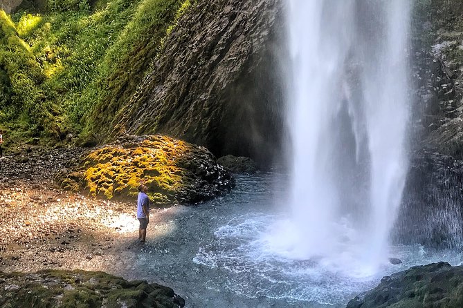 Multnomah Falls and Columbia River Gorge Half-Day Hiking Tour - What the guide adds to the scenery