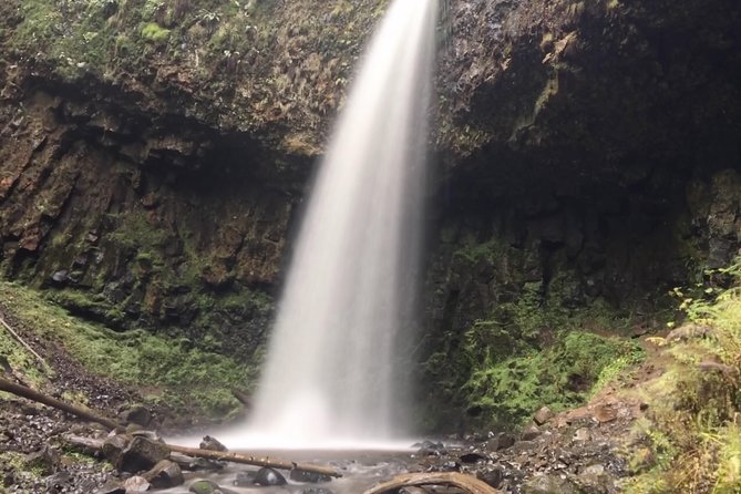 Multnomah Falls and Columbia River Gorge Half-Day Hiking Tour - Multnomah Falls delivers the signature moment