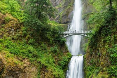 Multnomah Falls and Columbia River Gorge Waterfalls Tour Morning