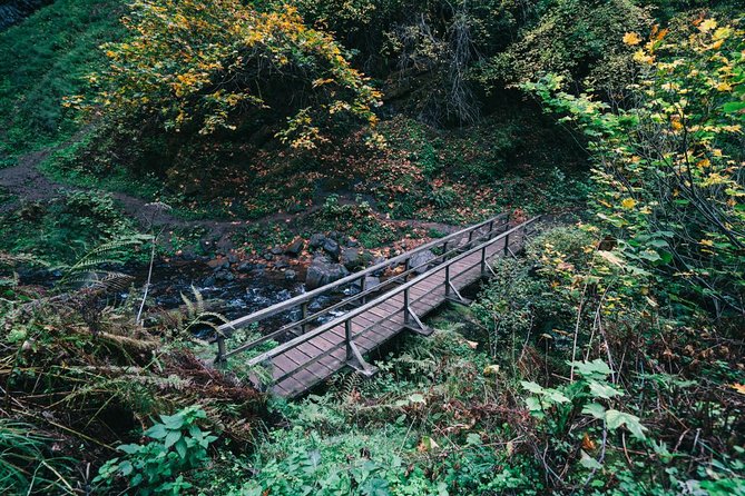 Multnomah Falls and Columbia River Gorge Waterfalls Tour Morning - Latourell Falls has the most distinctive rock setting
