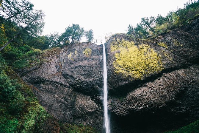 Multnomah Falls and Columbia River Gorge Waterfalls Tour Morning - What the guide adds to the ride