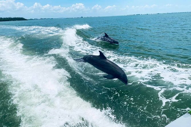 Myrtle Beach Dolphin Cruise - Quick points to know