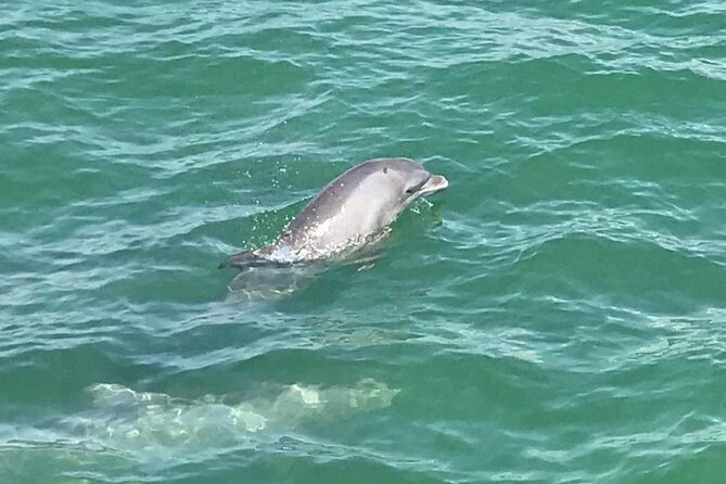 Myrtle Beach Dolphin Cruise - A crew that makes the ride work