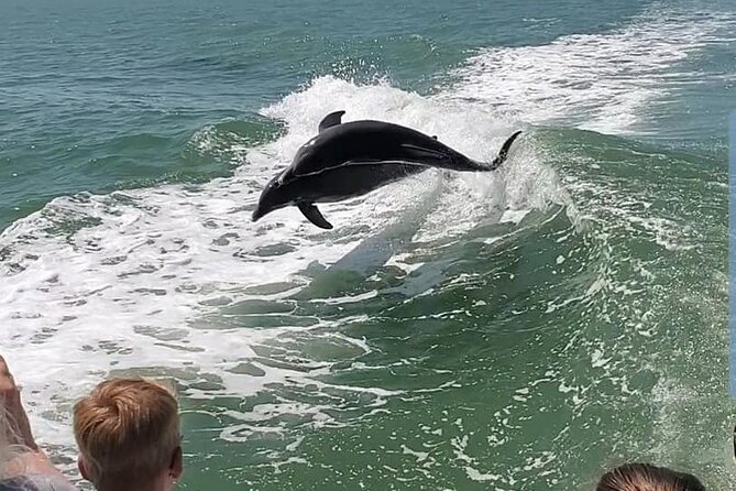 Myrtle Beach Dolphin Cruise - Why $28 can be a good buy