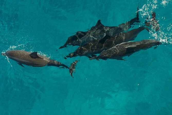 Na Pali Coast Half-Day Raft and Snorkel Adventure - The physical cost of an exciting ride