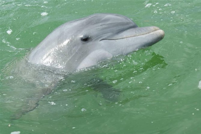 Naples Sightseeing Boat Tour - Port Royal’s waterfront homes and seasonal residents