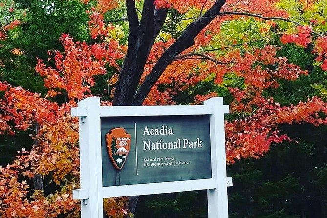 Narrated Bus Tour of Bar Harbor and Acadia National Park - The value of avoiding a rental car
