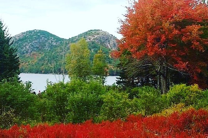 Narrated Bus Tour of Bar Harbor and Acadia National Park - Comfort, access, and simple planning tips
