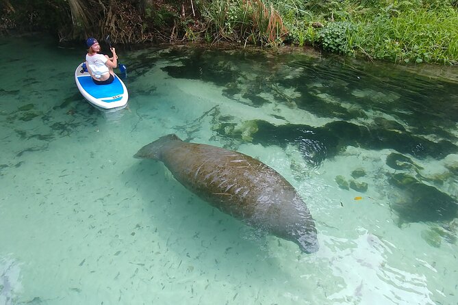 Nature & Island Exploration on SUP/Kayak - Key points before you book