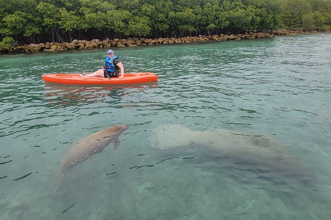 Nature & Island Exploration on SUP/Kayak - From Venetian Marina to Miami’s quieter waters