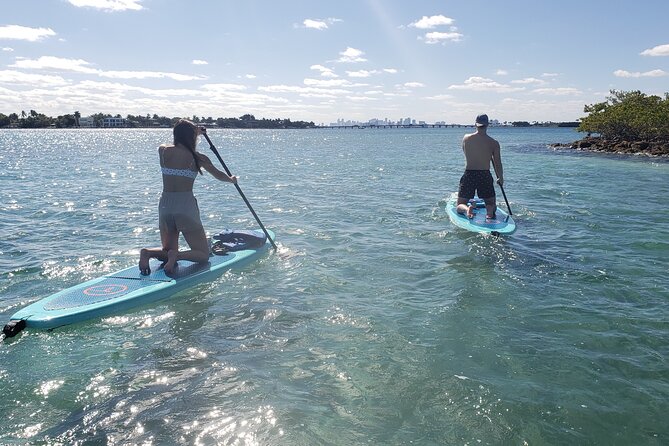 Nature & Island Exploration on SUP/Kayak - Mangrove canals, roots, birds, and fish