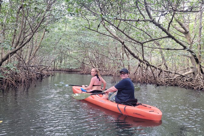 Nature & Island Exploration on SUP/Kayak - Raccoon Island and the most memorable stop
