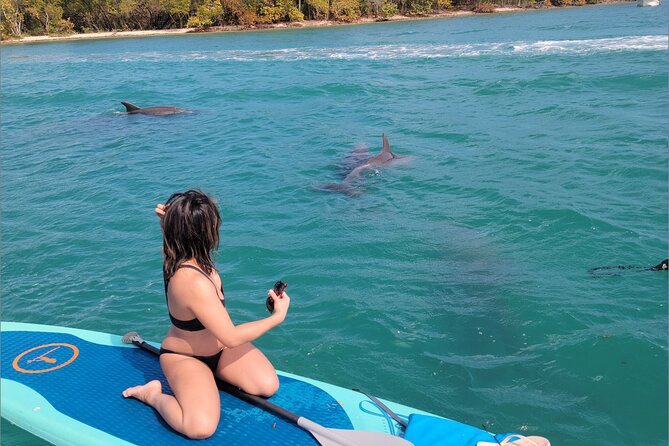 Nature & Island Exploration on SUP/Kayak - The guides make a real difference