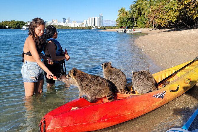 Nature & Island Exploration on SUP/Kayak - What the $99 price includes
