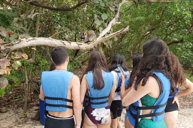 Nature & Island Exploration on SUP/Kayak - A gentle first lesson for kayak and SUP beginners