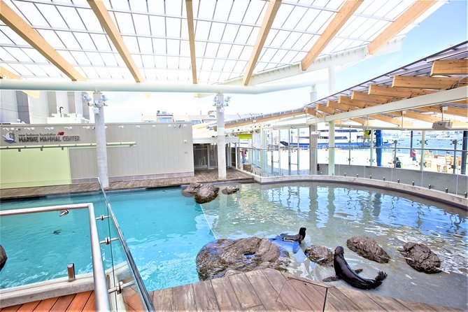 New England Aquarium Admission Ticket in Boston - Touch tanks and live presentations