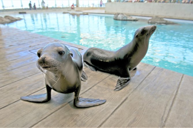 New England Aquarium Admission Ticket in Boston - How long the two-hour visit really takes