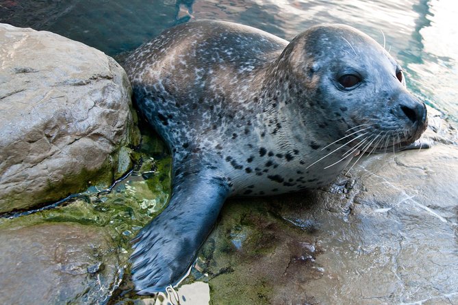 New England Aquarium Admission Ticket in Boston - Who will enjoy this Boston aquarium most