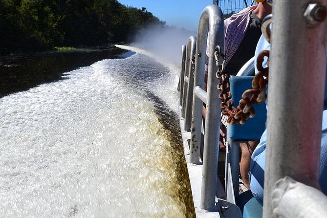 New Orleans Airboat Ride - Alligators, Birds, and the Luck of the Day