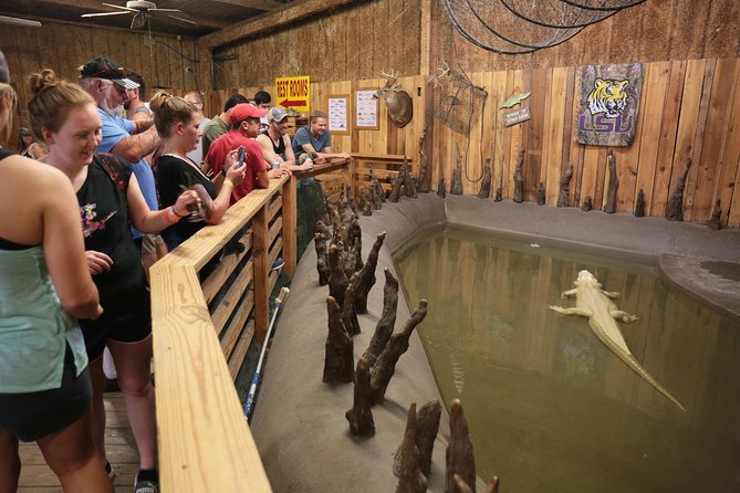 New Orleans Airboat Ride - Local Captains Make the Ride