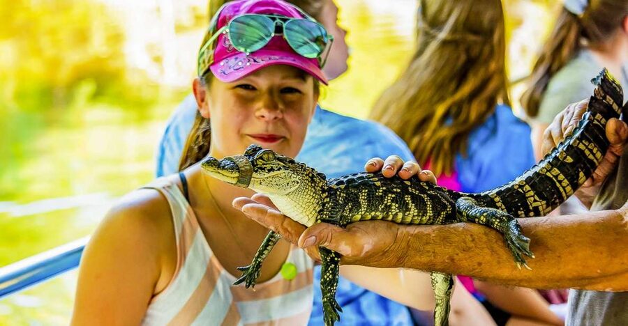 New Orleans: Bayou Swamp Tour and Oak Alley Plantation Tour - Key points to know before booking